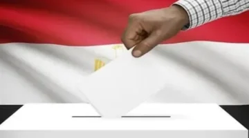 كيف تضمن لجنة الانتخابات إدلاء صوت سلس بالرقم القومي في انتخابات 2025؟